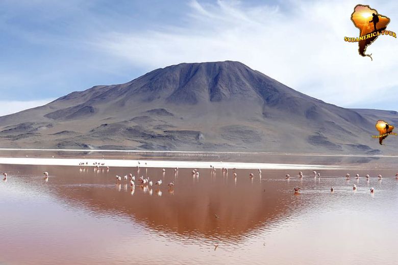 Reisen Bolivien Chile Natur
